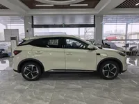 BYD Yuan PLUS 2025 (6100 км)