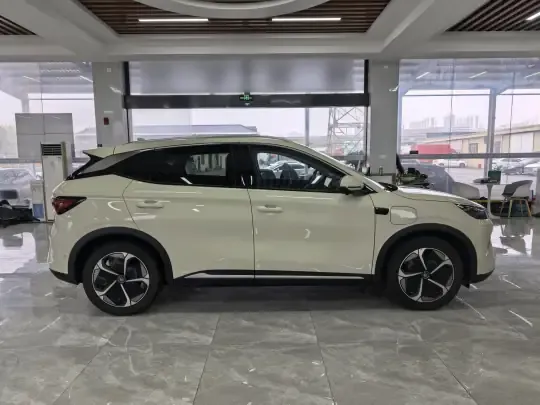 BYD Yuan PLUS 2025 (6100 км)