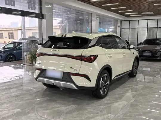 BYD Yuan PLUS 2025 (6100 км)
