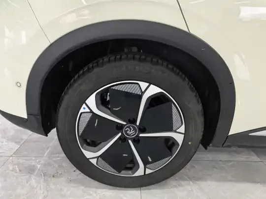 BYD Yuan PLUS 2025 (6100 км)