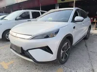 BYD Yuan PLUS 2025 (11300 км)
