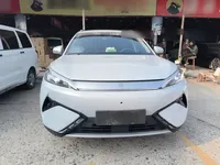 BYD Yuan PLUS 2025 (11300 км)