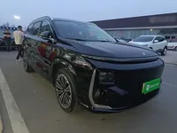 JETOUR Shanhai L9 2025 (21000 км)