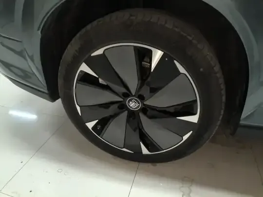 BYD Tang L 2025 (8100 км)