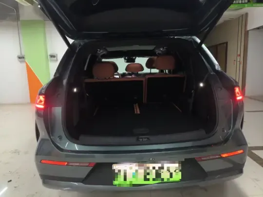 BYD Tang L 2025 (8100 км)