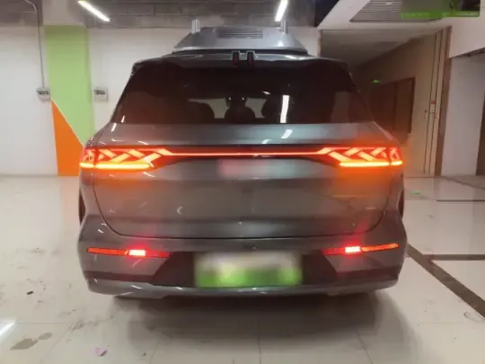 BYD Tang L 2025 (8100 км)