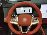BYD Tang L 2025 (1700 км)