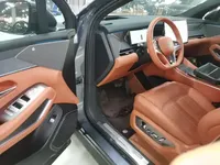 BYD Tang L 2025 (1700 км)