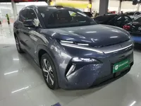 BYD Tang L 2025 (1700 км)