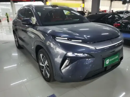 BYD Tang L 2025 (1700 км)