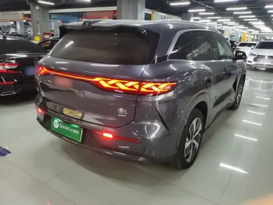 BYD Tang L 2025 (1700 км)