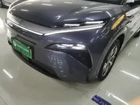 BYD Tang L 2025 (1700 км)