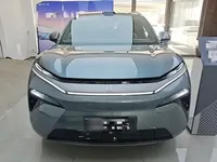 BYD Tang L 2025 (5400 км)