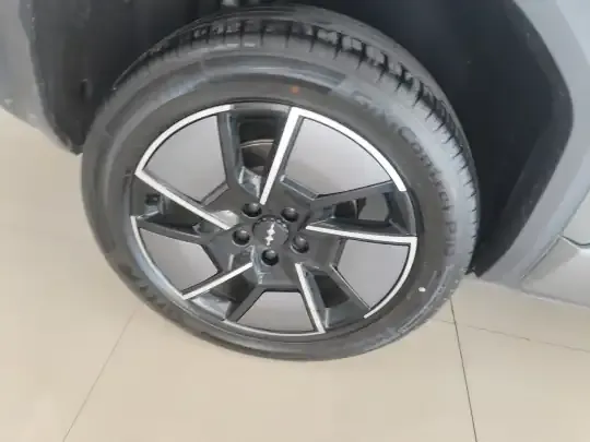 Formula Leopard Titanium 3 2025 (100 км)