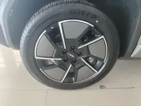Formula Leopard Titanium 3 2025 (100 км)