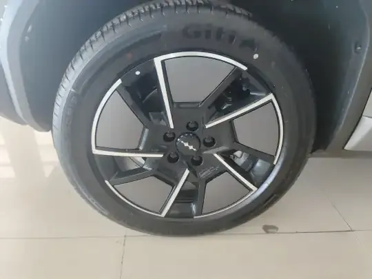 Formula Leopard Titanium 3 2025 (100 км)