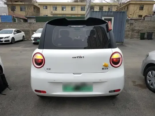 Qiyuan Lumin 2025 (6600 км)
