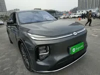Qiyuan Q07 2025 (15400 км)