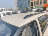 Dongfeng NAMMI 06 2025 (3900 км)