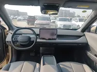Dongfeng NAMMI 06 2025 (3900 км)