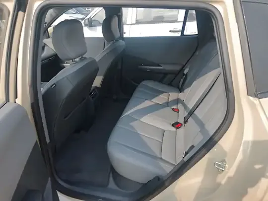 Dongfeng NAMMI 06 2025 (3900 км)