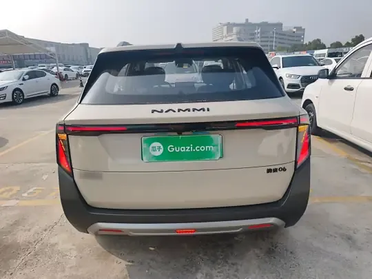 Dongfeng NAMMI 06 2025 (3900 км)