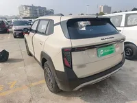 Dongfeng NAMMI 06 2025 (3900 км)