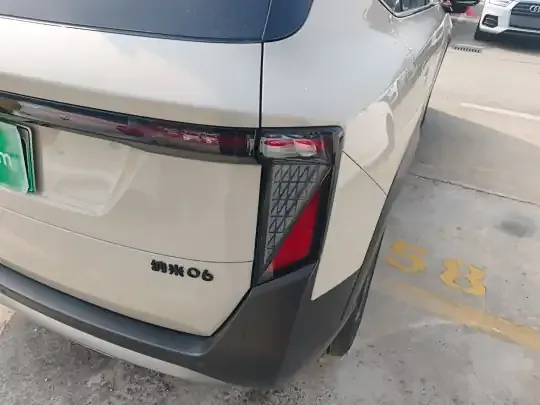 Dongfeng NAMMI 06 2025 (3900 км)