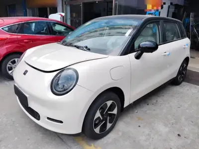 JAC Yiwei 3 2025 (100 км)