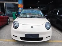 JAC Yiwei 3 2025 (100 км)
