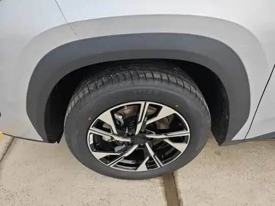 Geely Auto FX11 2025 (100 км)