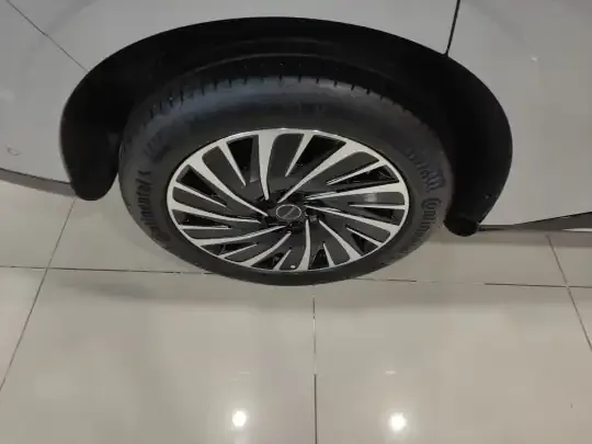 EXEED Star Era ET 2025 (19000 км)