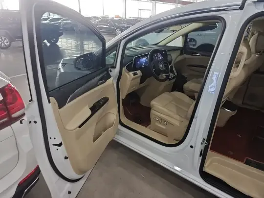 Buick GL8 New Energy 2025 (300 км)