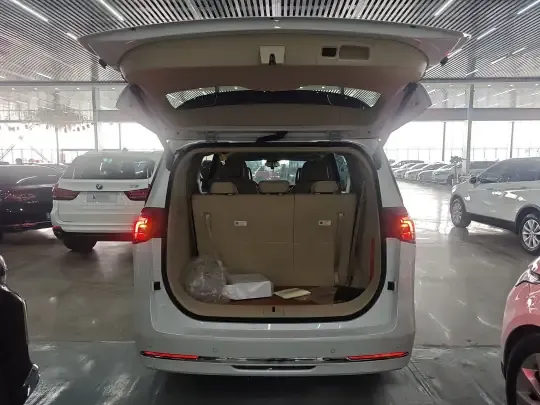 Buick GL8 New Energy 2025 (300 км)