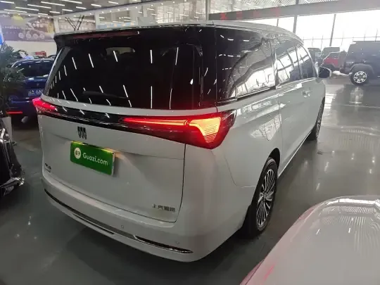 Buick GL8 New Energy 2025 (300 км)