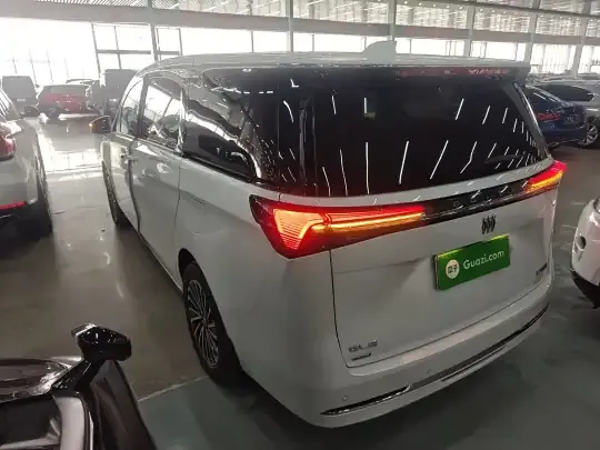 Buick GL8 New Energy 2025 (300 км)