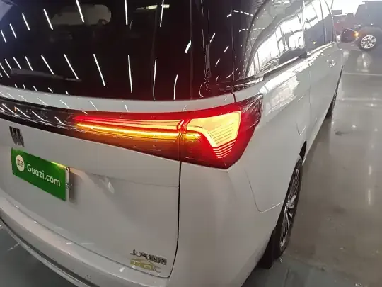 Buick GL8 New Energy 2025 (300 км)