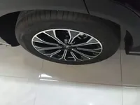 Cowin Kunlun 2025 (11800 км)