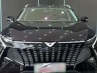 Cowin Kunlun 2025 (11800 км)