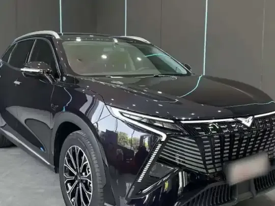 Cowin Kunlun 2025 (11800 км)