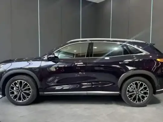 Cowin Kunlun 2025 (11800 км)