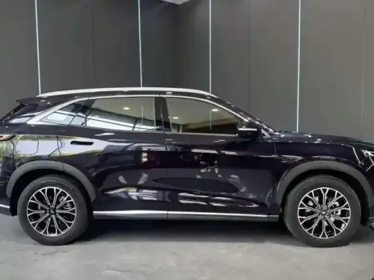 Cowin Kunlun 2025 (11800 км)