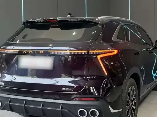 Cowin Kunlun 2025 (11800 км)