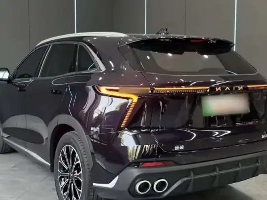Cowin Kunlun 2025 (11800 км)
