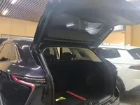 Cowin Kunlun 2025 (11800 км)