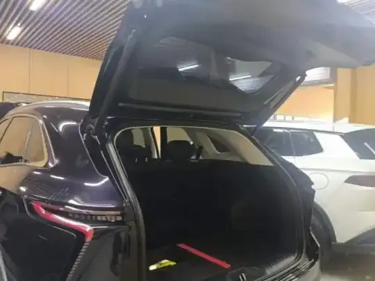 Cowin Kunlun 2025 (11800 км)