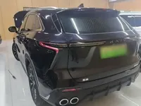 Cowin Kunlun 2025 (11800 км)