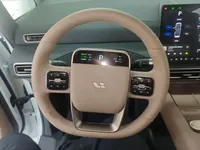 Li Auto MEGA 2025 (8800 км)