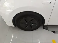 Li Auto MEGA 2025 (8800 км)
