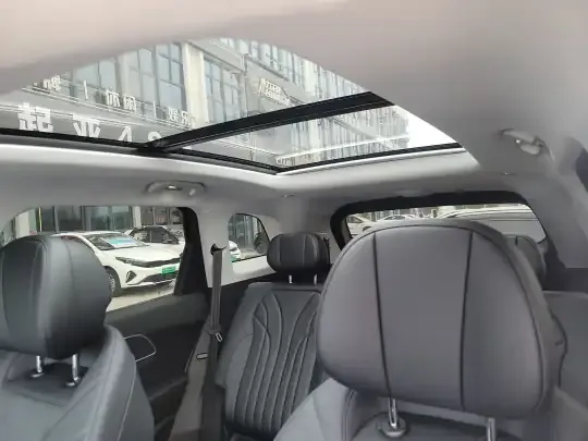 Chery Fengyun T9 2025 (3700 км)